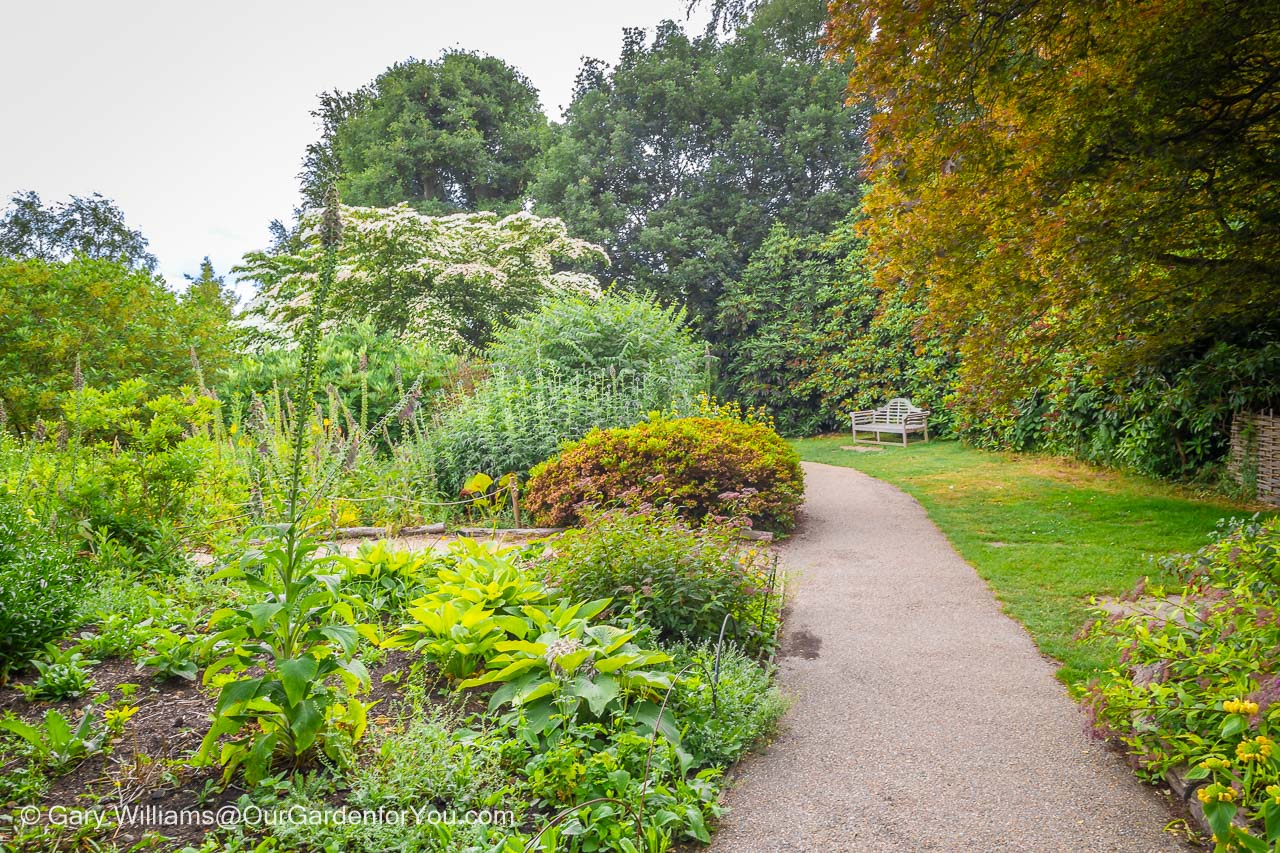 A path running through the north garden at emmets gardens in kent