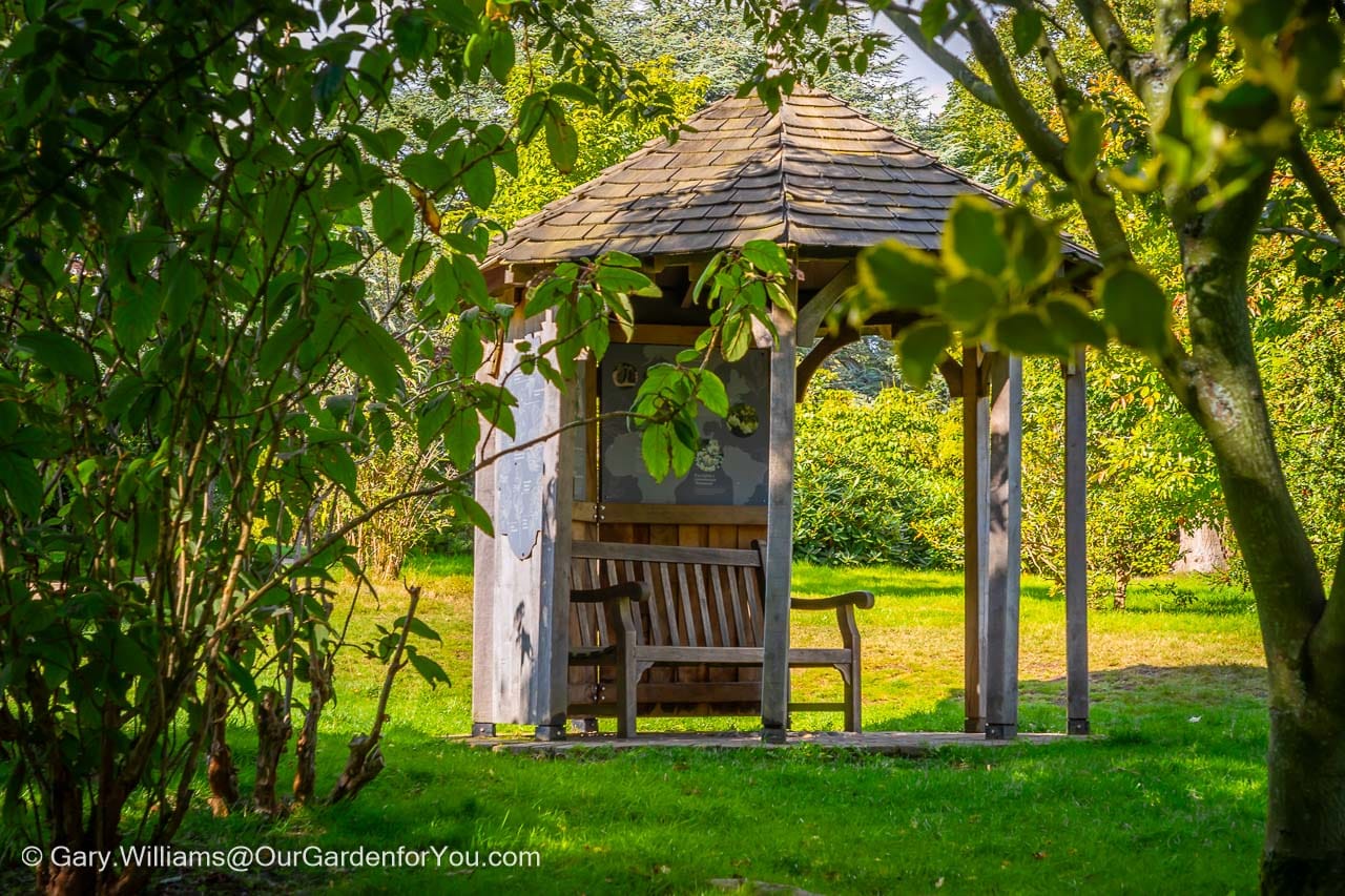 A small wooden gazebo tucked away in the south garden at emmets gardens