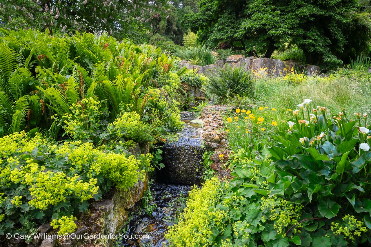 The Gavin Jones miniature waterfall installed in chartwell allowing spring water to flow between lush natural planting
