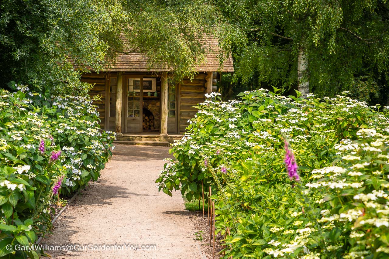 The wooden discovery cabin tucked away within emmett's gardens
