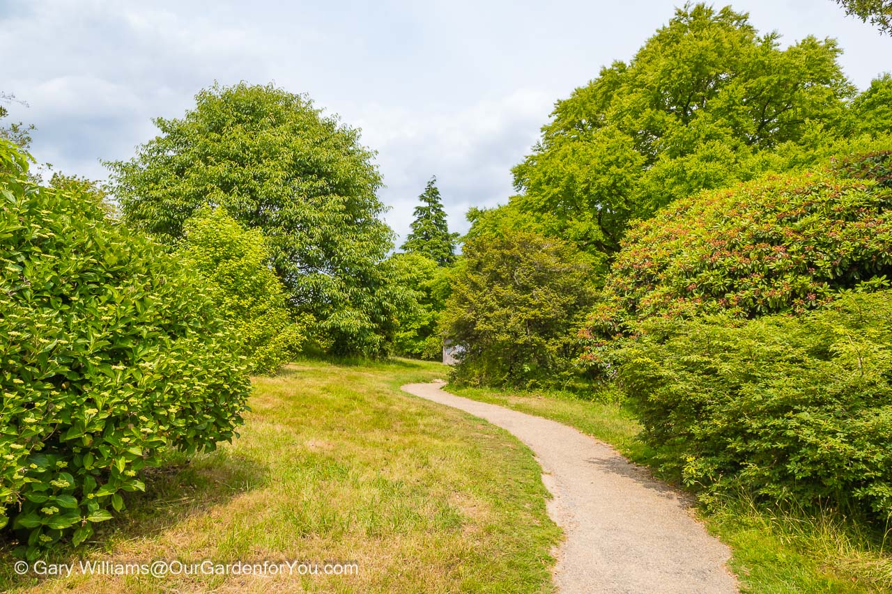 A path running through the lush planting in the south garden at emmets gardens in kent