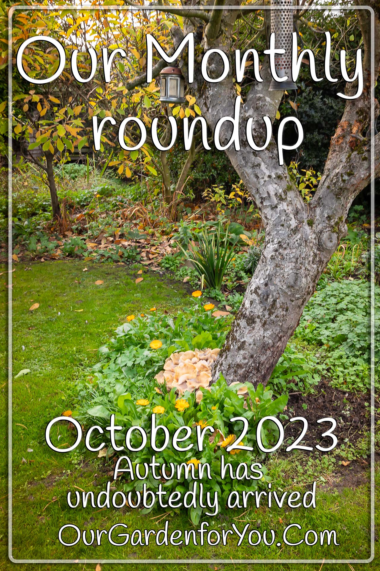 The pin image of our post - 'October 2023, Our Garden for You monthly roundup