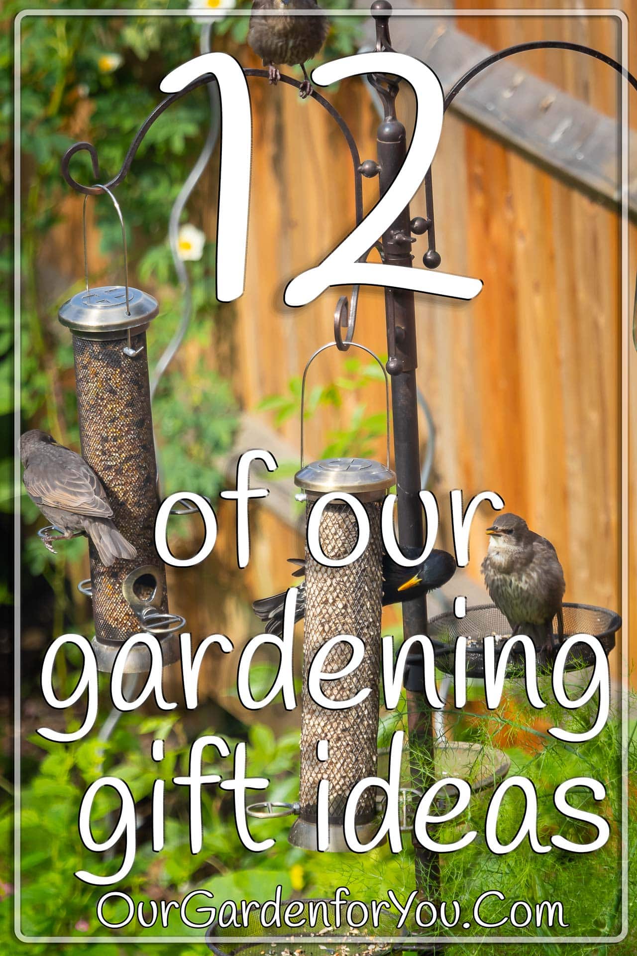 The pin image of our post - '12 of our gardening gift ideas'