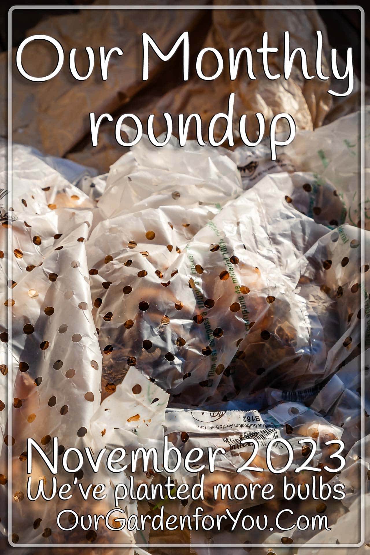 The pin image from our post - 'November 2023, Our Garden for You monthly roundup'