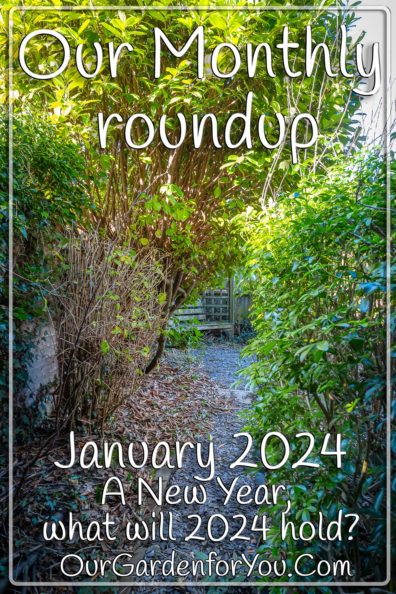 The pin image for our post - 'January 2024, Our Garden for You monthly roundup'