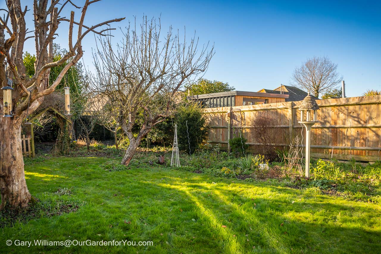 Our garden on a clear winter's day in january under blue skies