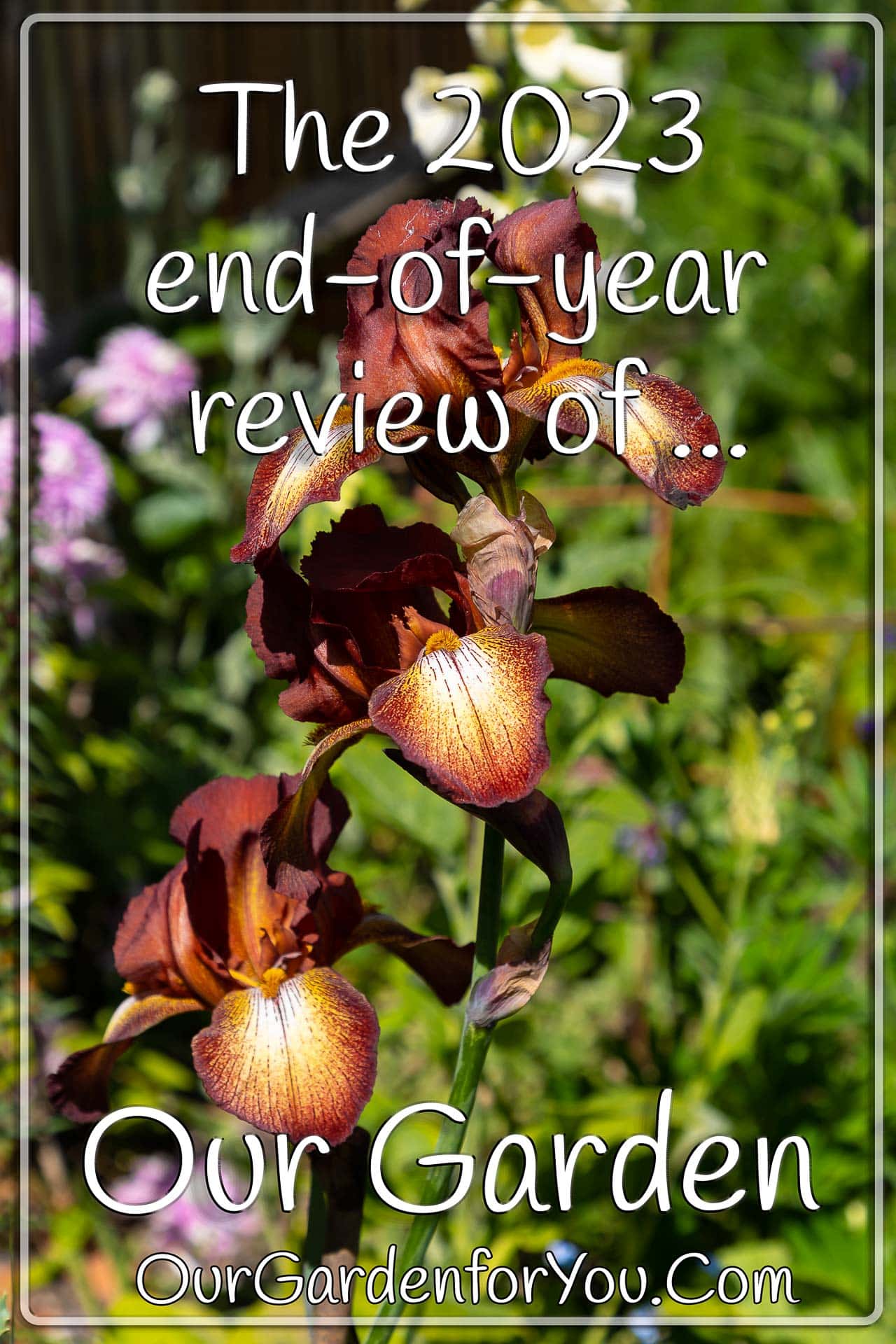 The pin image for our post - 'The 2023 end-of-year review of our garden'