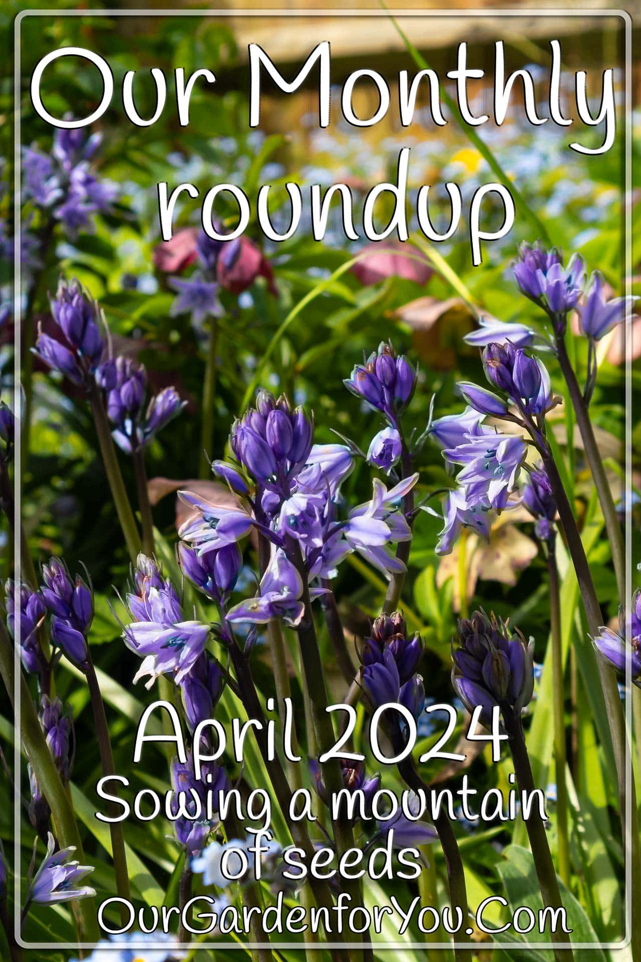 The pin image of our post - 'April 2024, Our Garden for You monthly roundup'