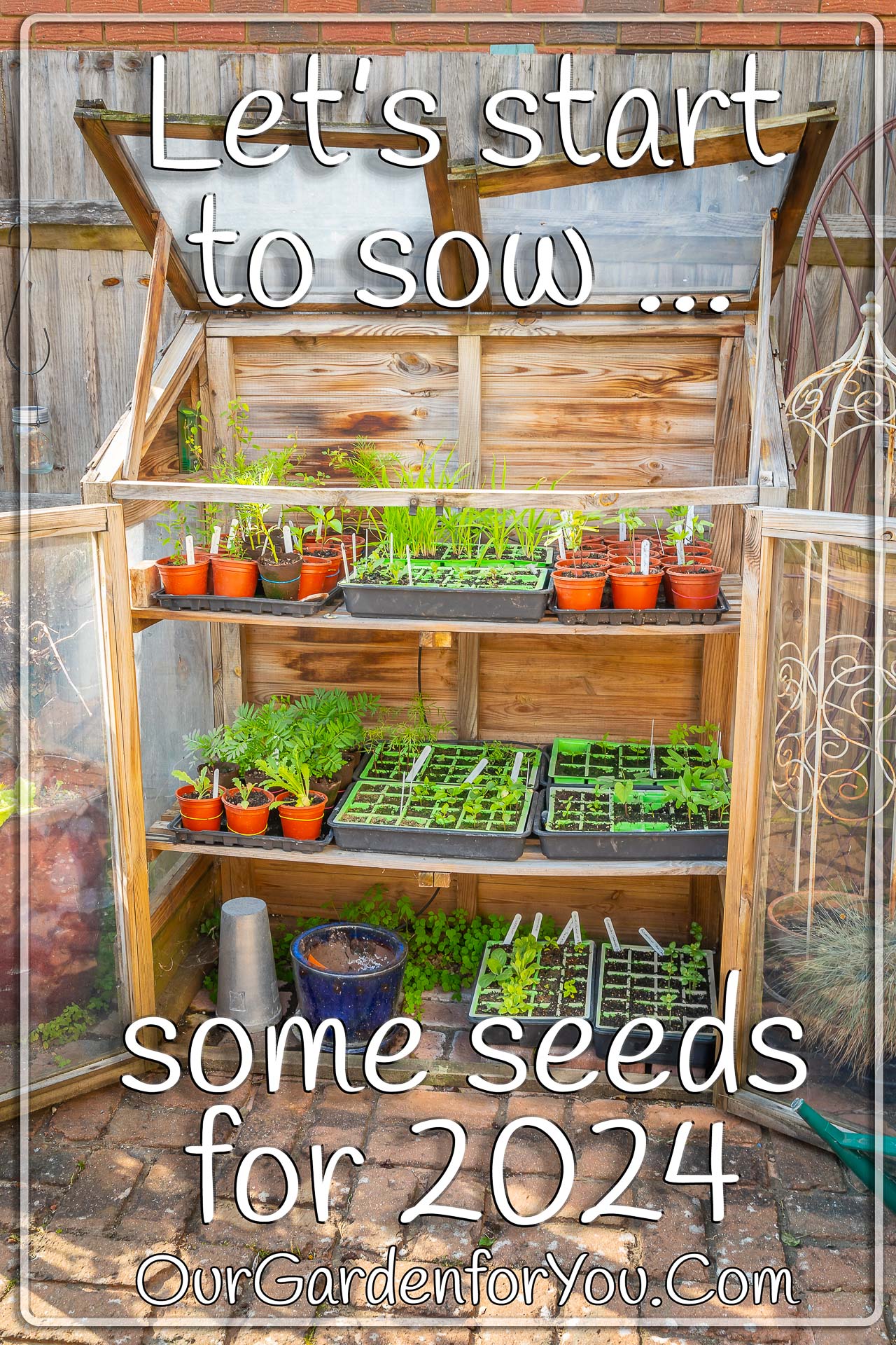 The pin image for our post - 'Let’s sow some seeds for 2024'