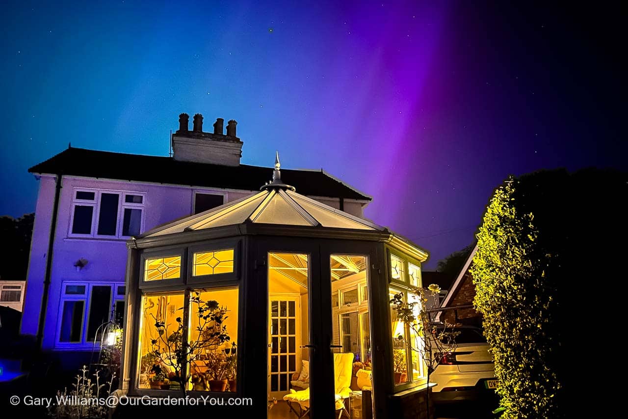 northern lights over our home in kent as seen from our garden