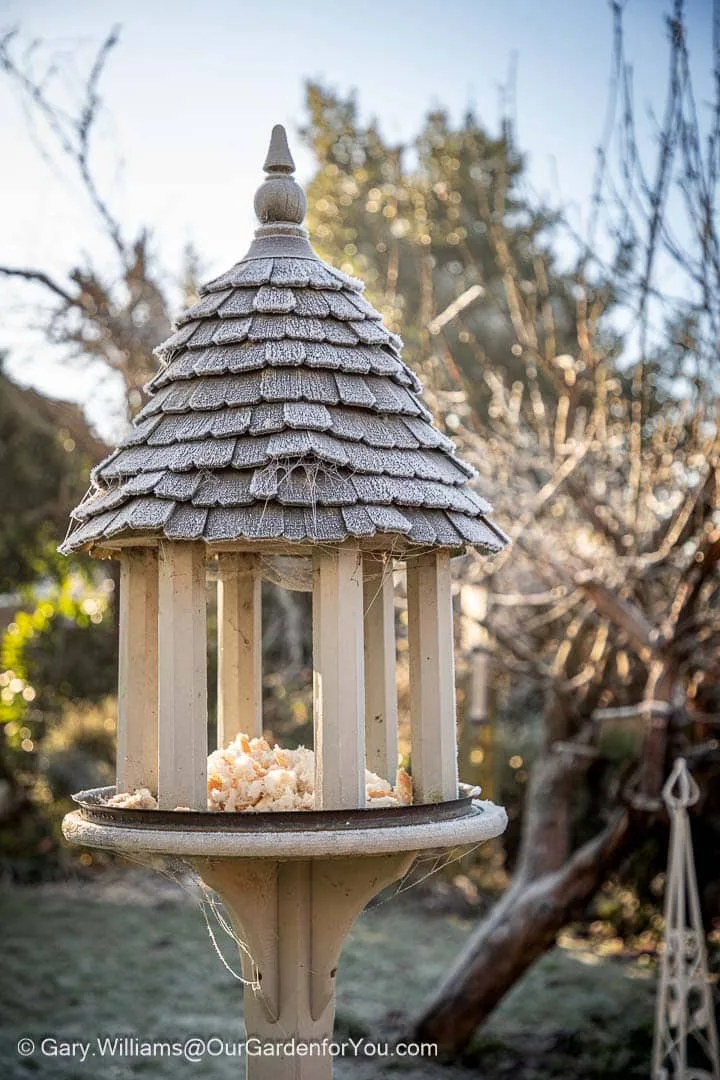 Our frost-covered bird table on the edge of our cottage garden bed in our English country garden.