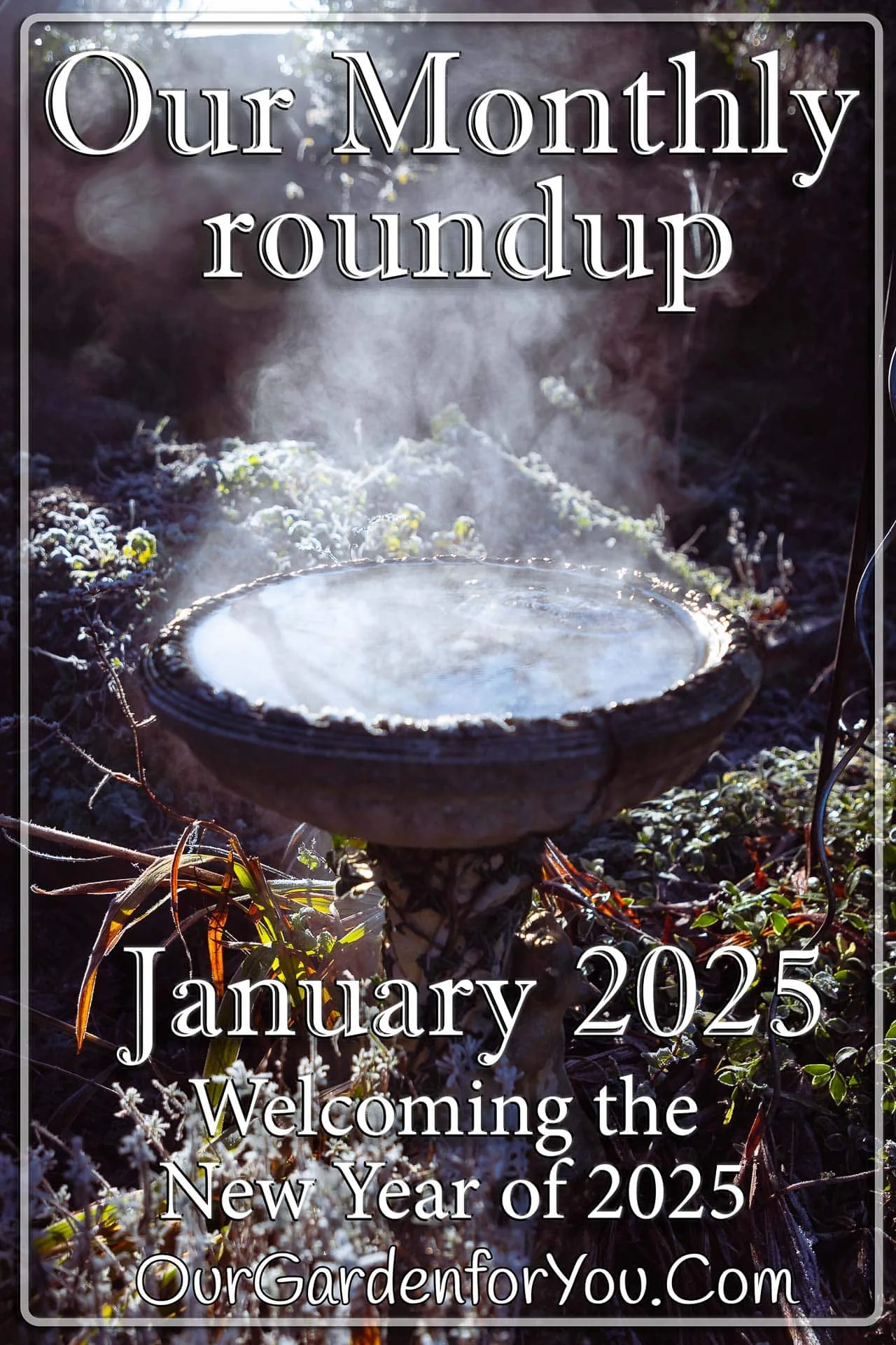 The Pin image for our post - 'January 2025, Our Garden for You monthly roundup'