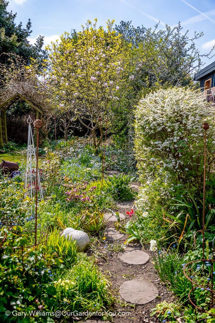 A winding stone pathway meanders through a lush English country garden, bursting with a variety of colorful flowers, green foliage, and mature trees in full bloom under a bright sky. Garden ornaments, including a white trellis and metal plant supports, are nestled amongst the abundant growth, creating a charming and informal scene.