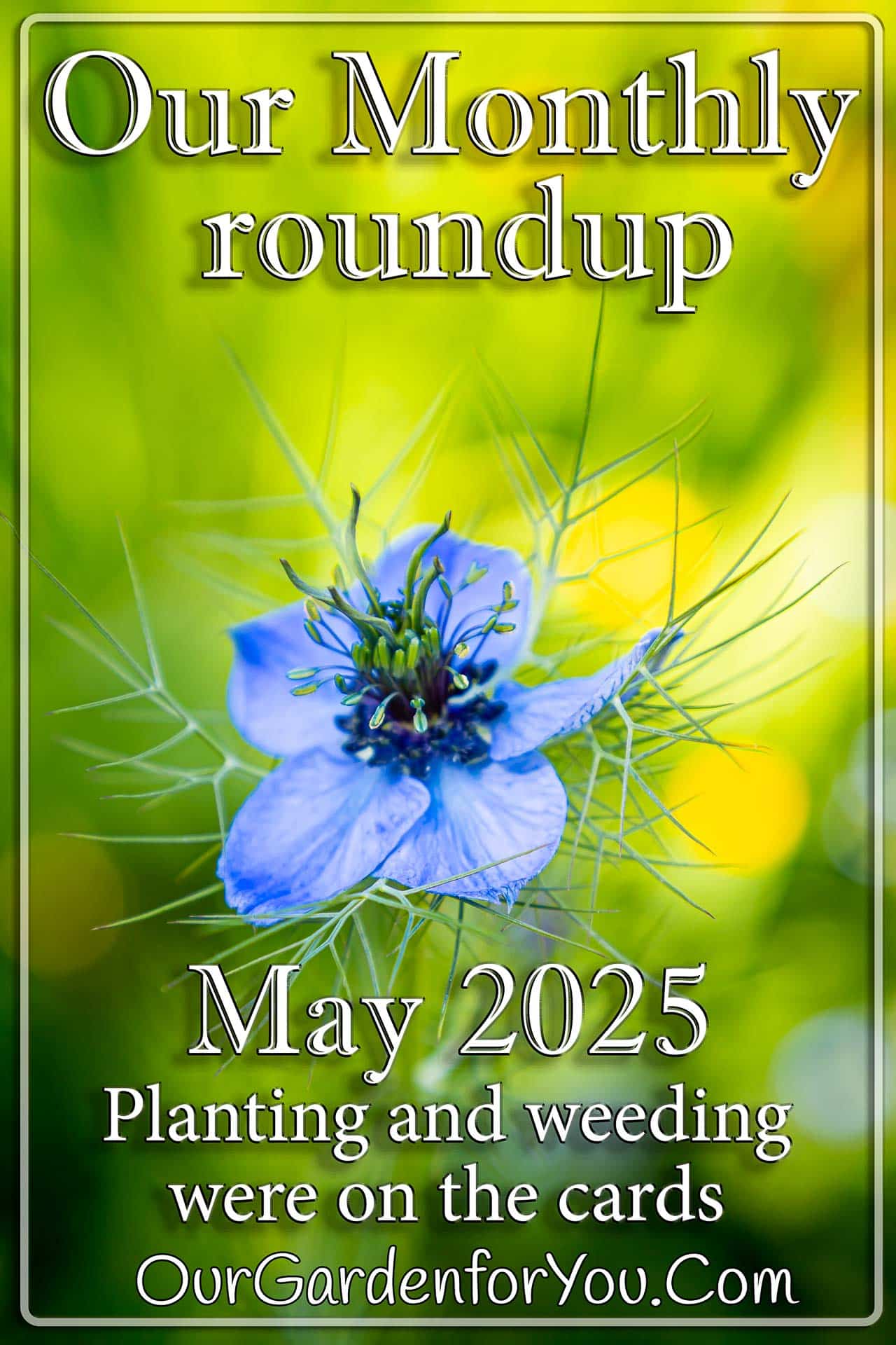 The pin imge for our post - 'May 2025, Our Garden for You monthly roundup'