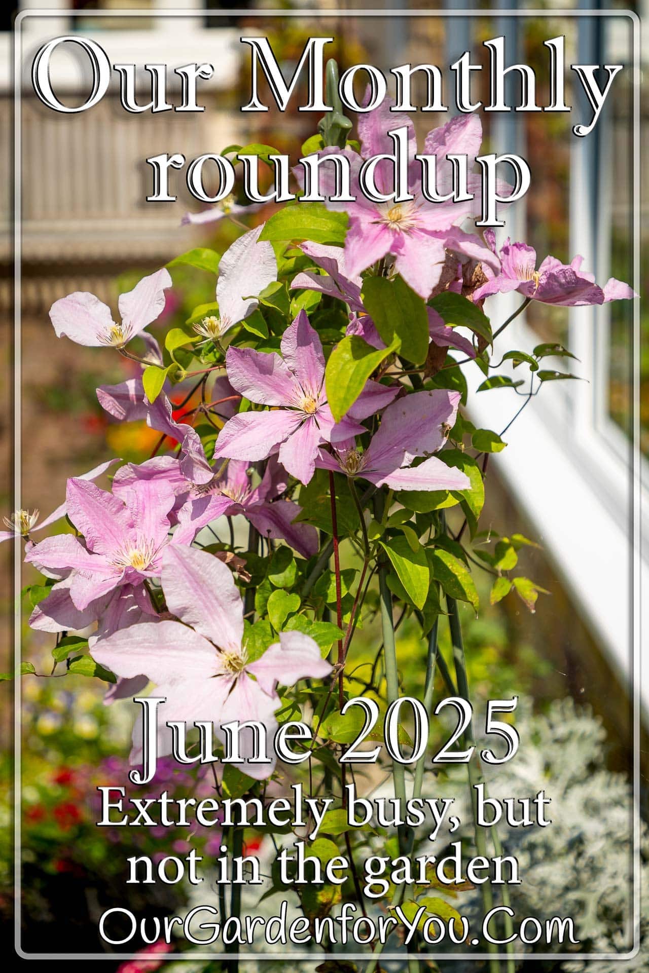 The pin image for our post - 'June 2025, Our Garden for You monthly roundup'