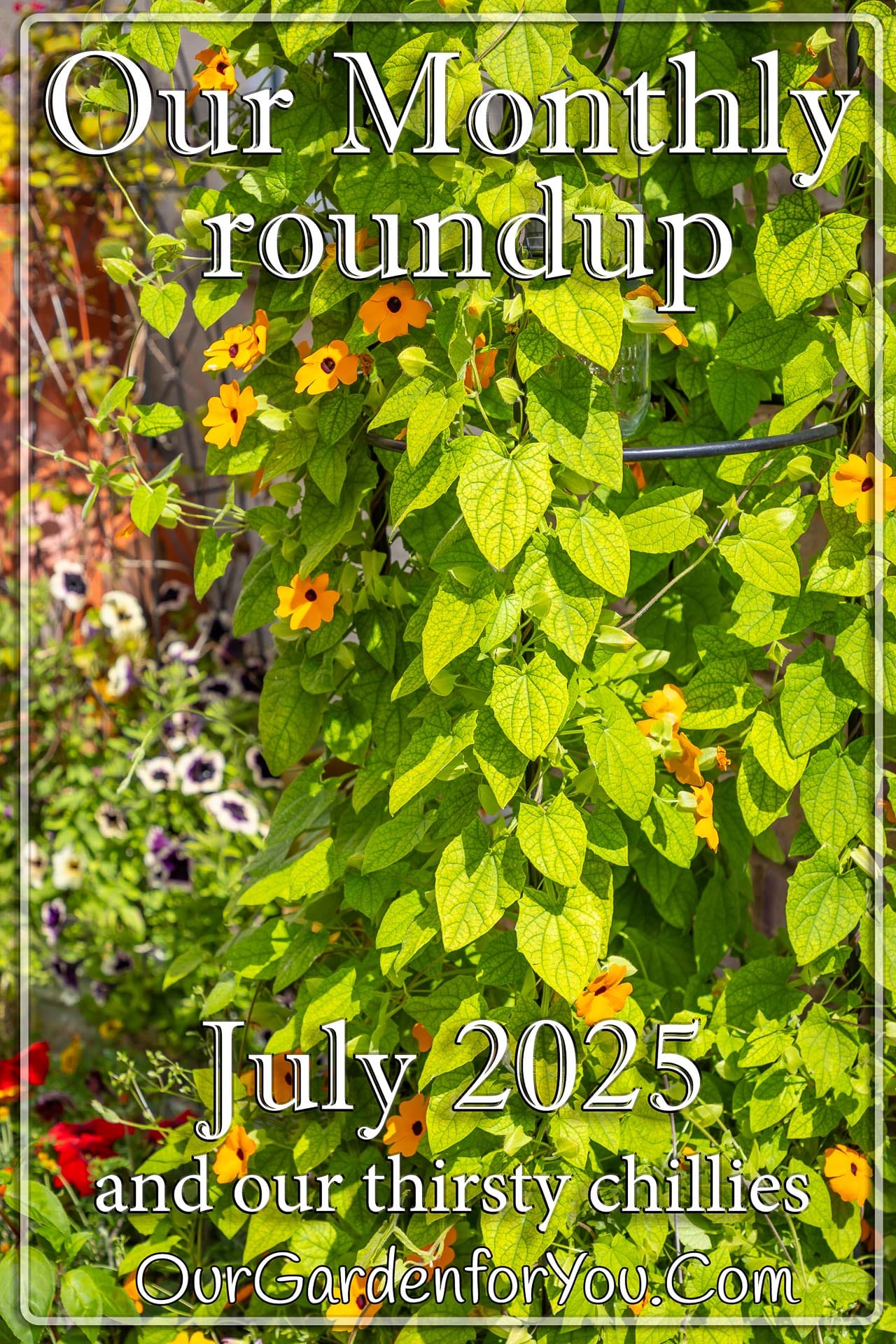 The pin image for our post - 'July 2025, Our Garden for You monthly roundup'