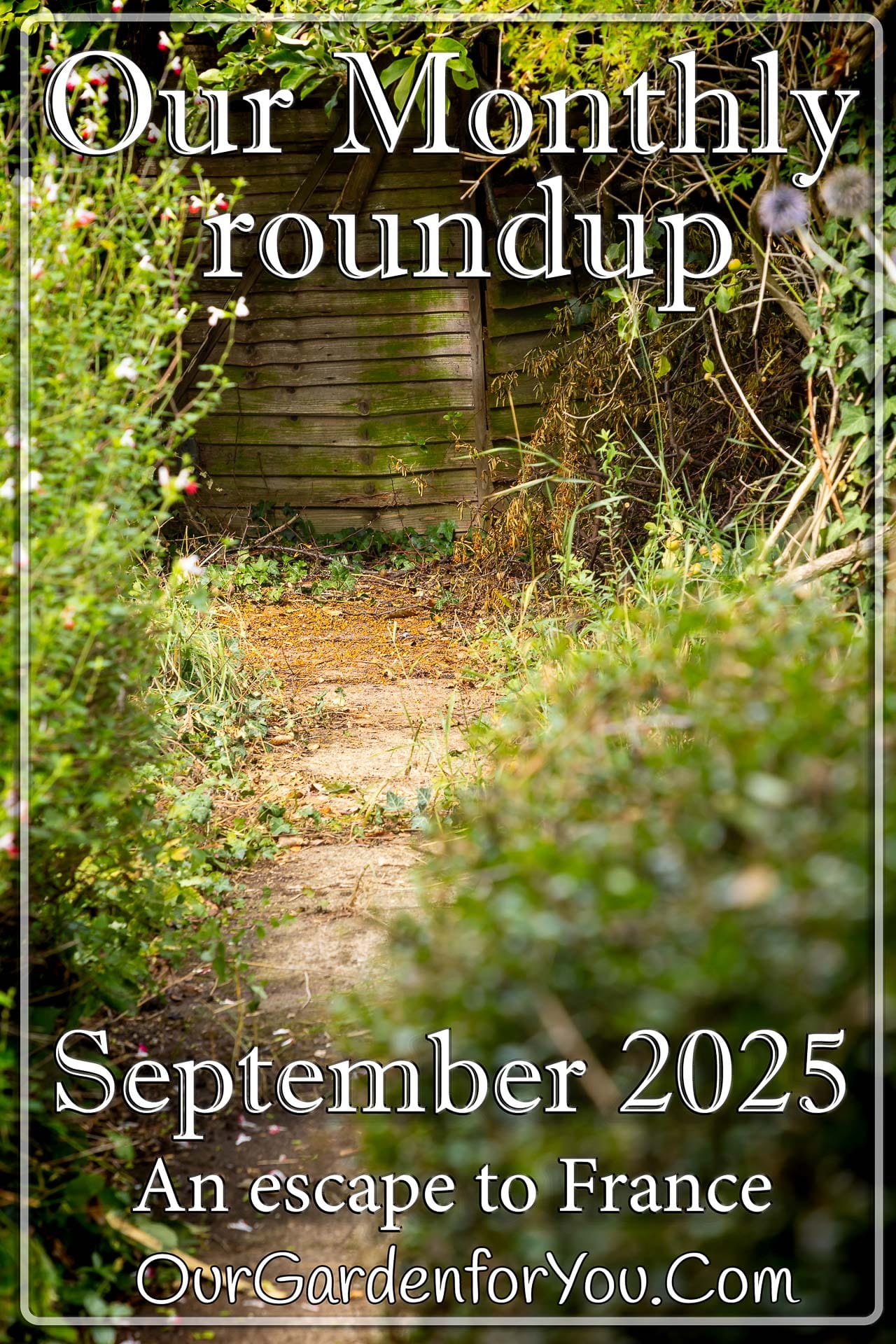 The pin image for our post - 'September 2025, Our Garden for You monthly roundup'