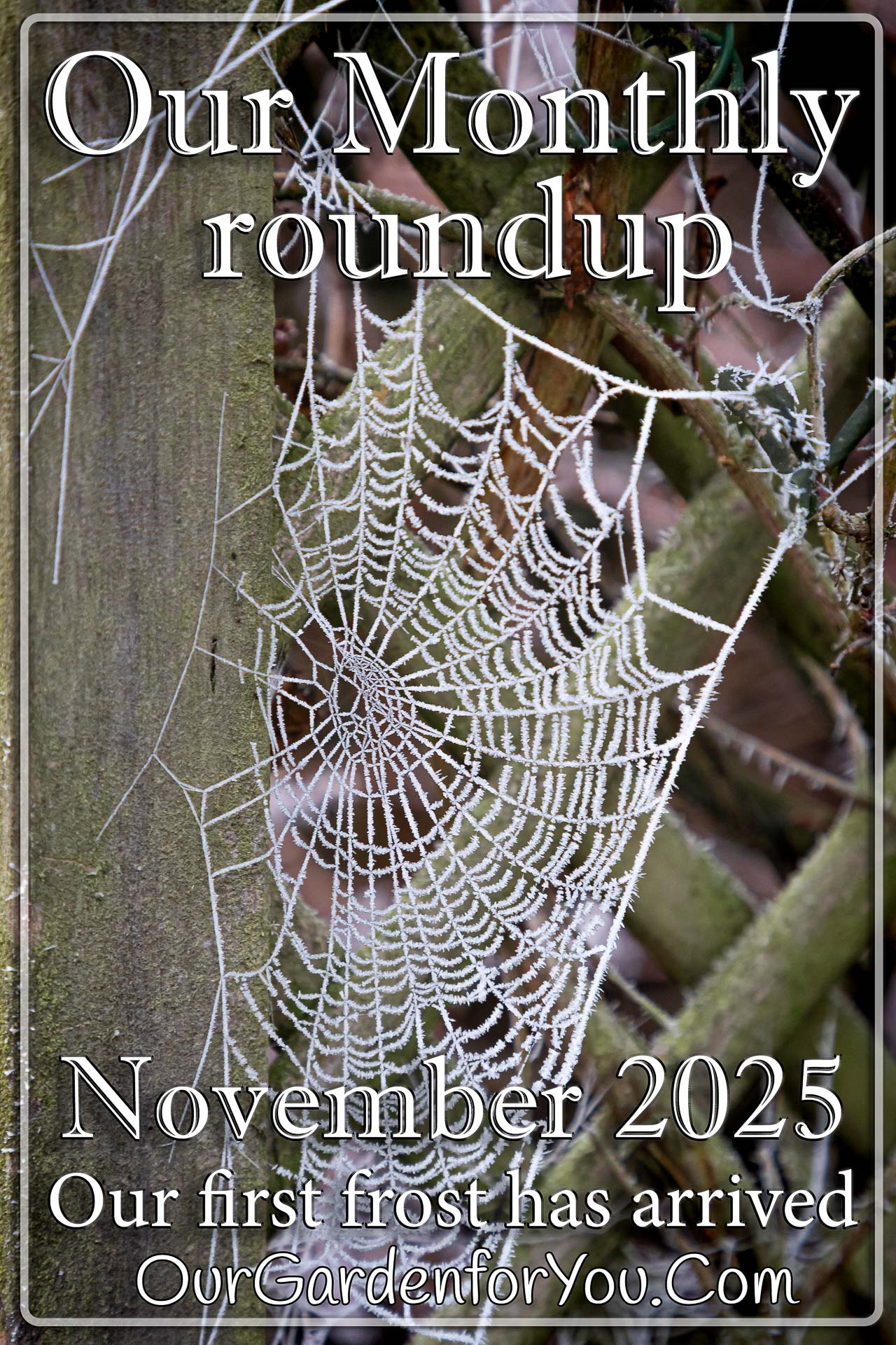 The pin image of our post - 'November 2025, Our Garden for You monthly roundup