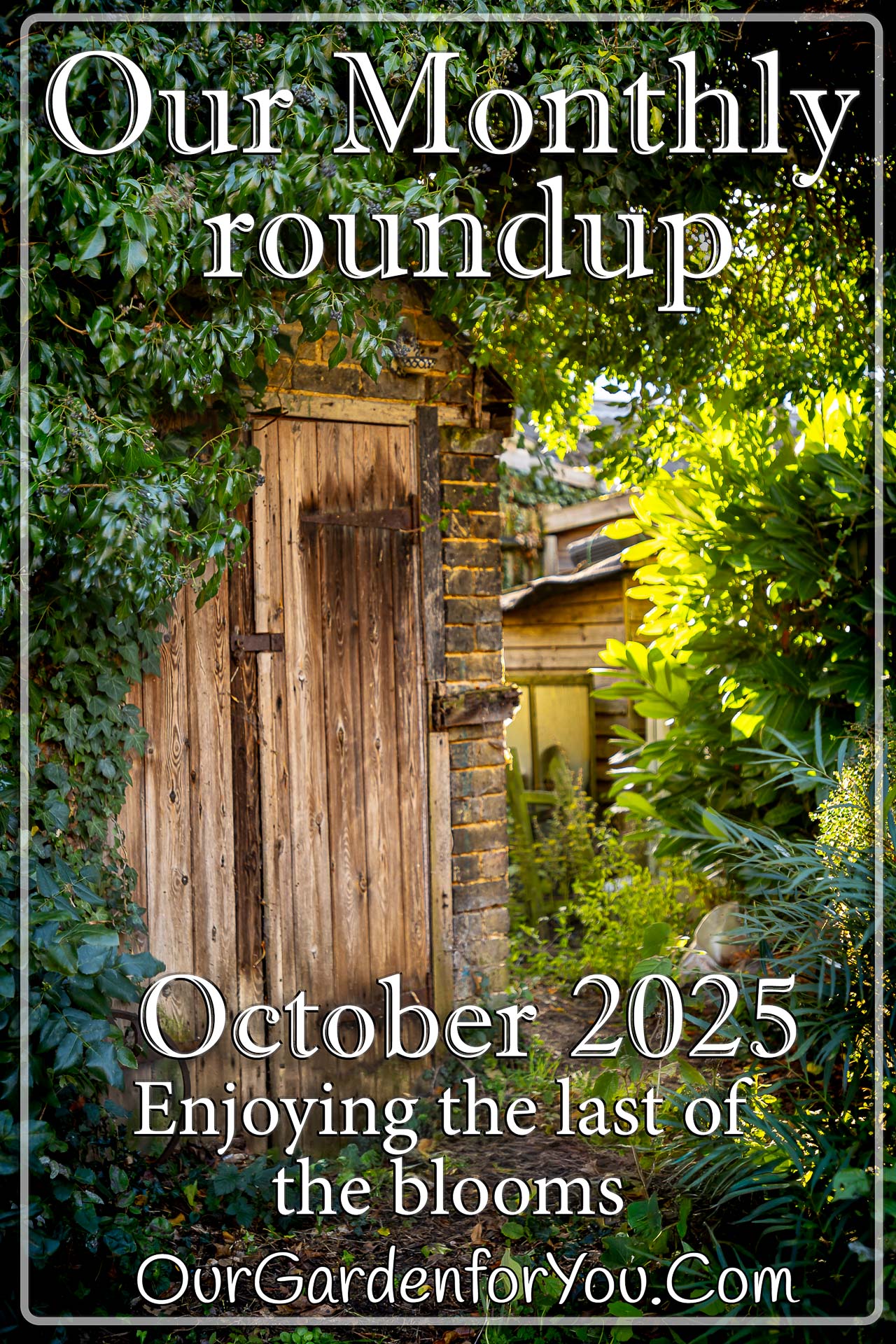 The pin image for our post - 'October 2025, Our Garden for You monthly roundup'