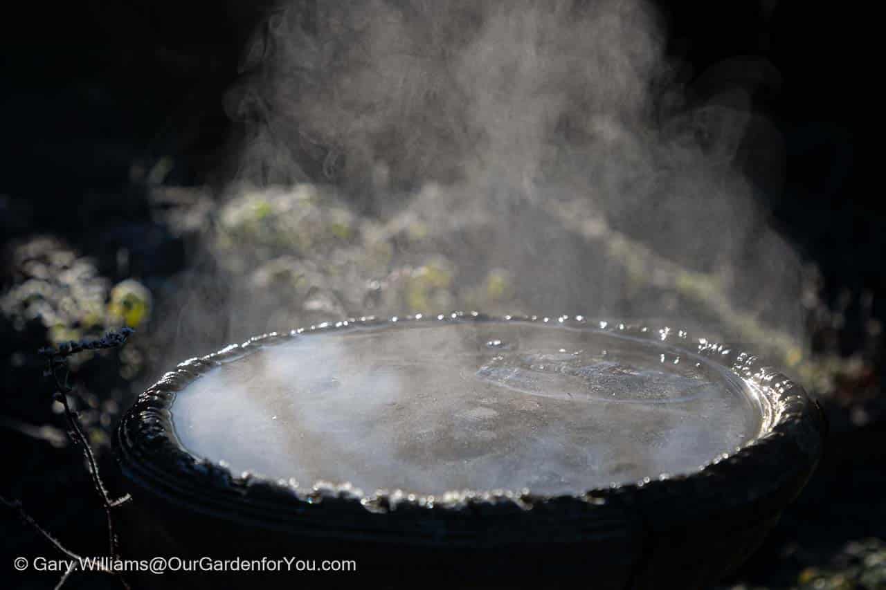 Steam rises from a partially frozen bird bath as ice begins to thaw on a cold winter morning in an English garden. This atmospheric close-up captures seasonal garden care and winter wildlife support during the colder months.