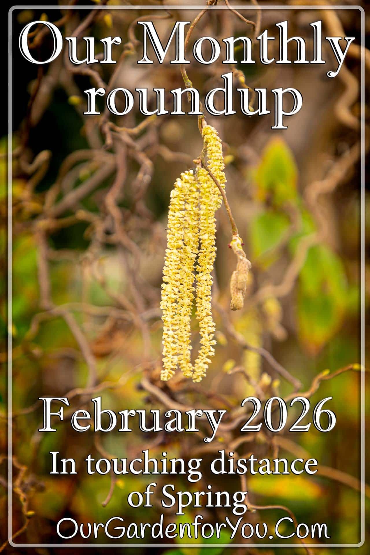 The pin image for our post - 'February 2026, Our Garden for You monthly roundup'