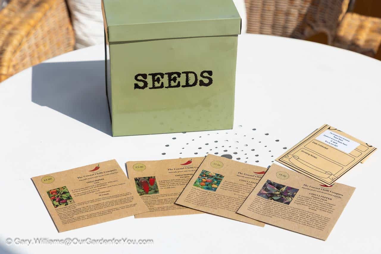 A vintage-style seed storage tin sits alongside carefully labelled chilli pepper seed packets ready for future sowing. This organised gardening setup highlights seed saving and planning for next year's vegetable and chilli growing season.