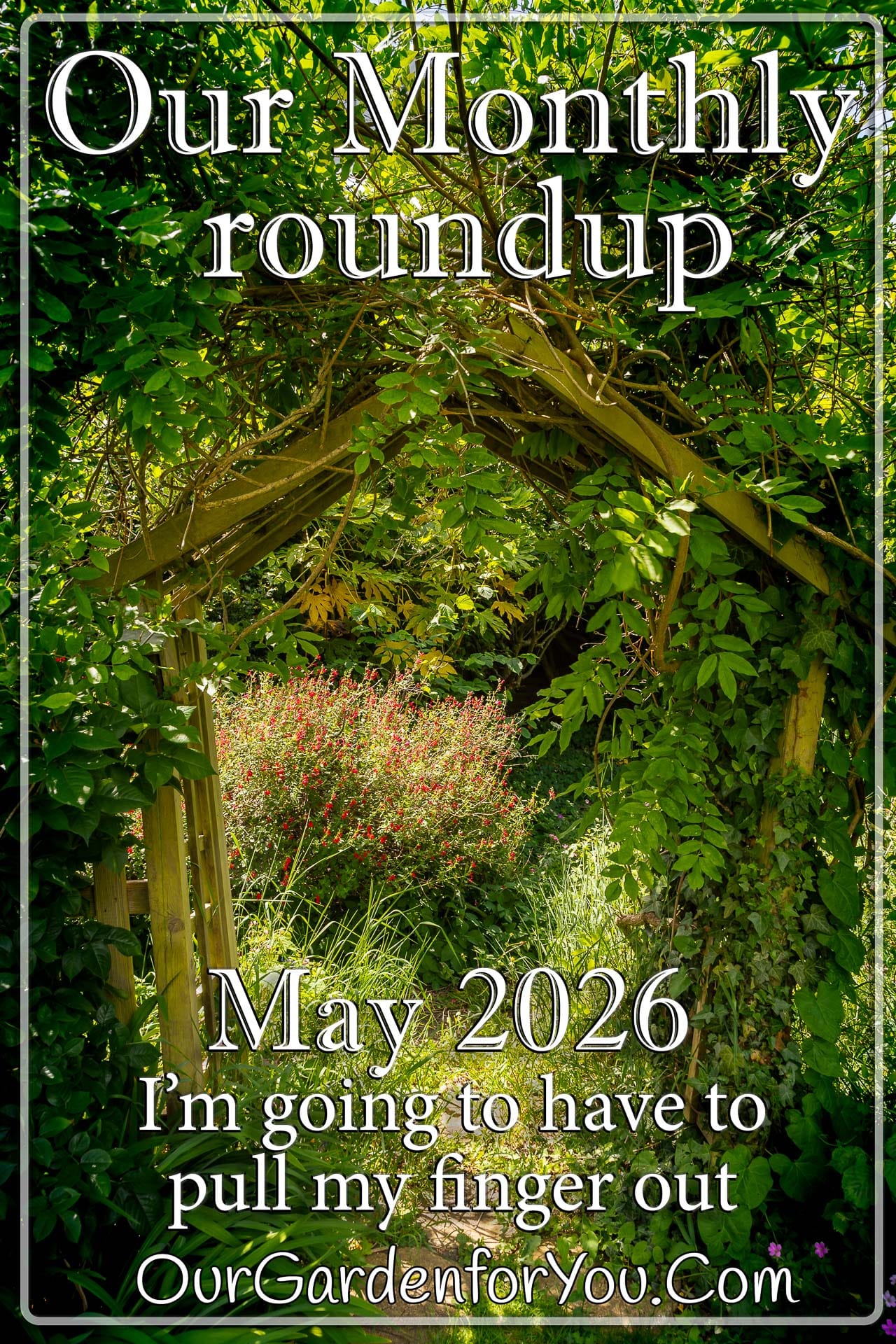 The Pin image - 'May 2026, Our Garden for You monthly roundup'