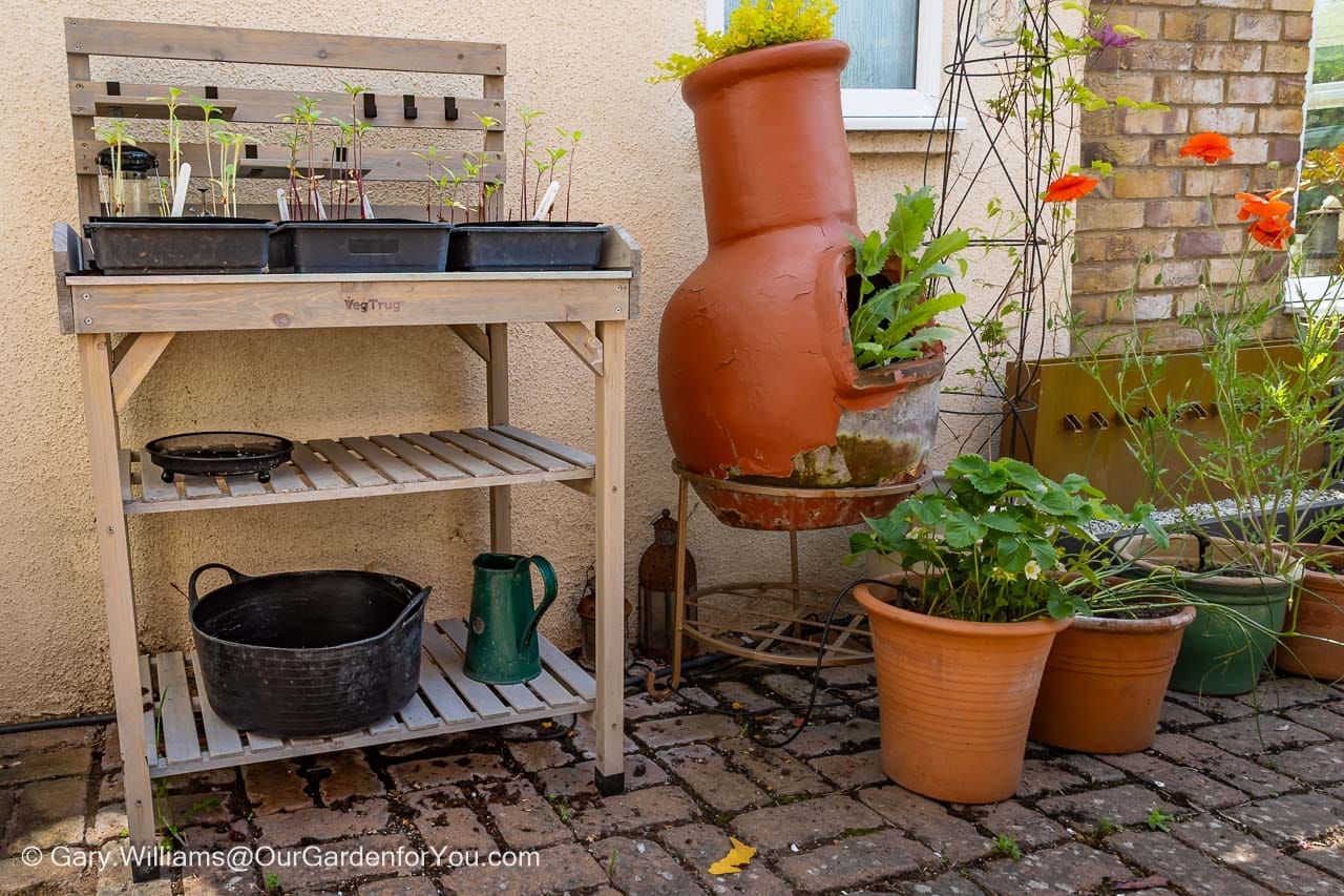 A rustic garden potting station features seed trays, terracotta pots and a decorative chiminea planter in a sunny courtyard garden. This practical gardening workspace is ideal for sowing seeds, potting plants and managing seasonal garden jobs.