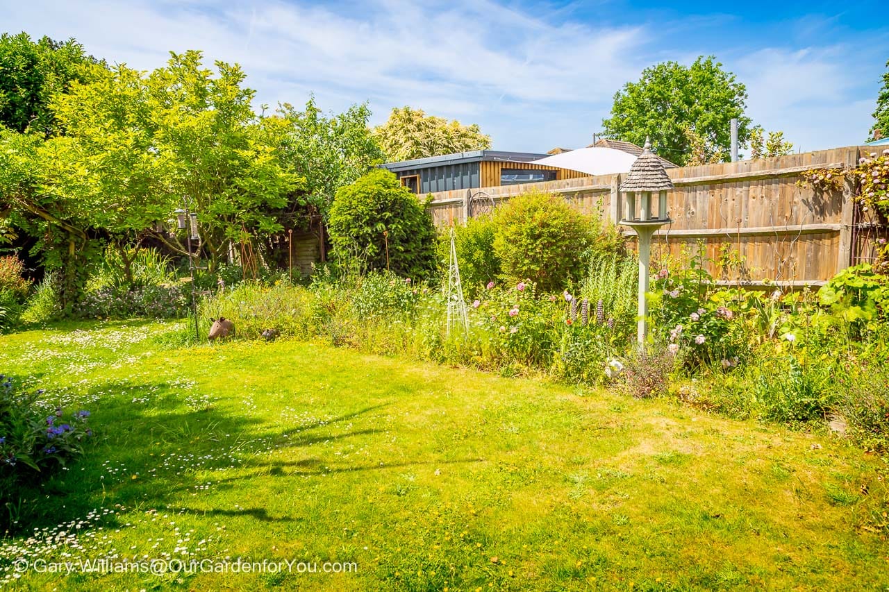 A mature English country garden features sweeping lawns, established borders, flowering shrubs and ornamental trees beneath a bright blue summer sky. This peaceful garden landscape captures the beauty of a well-established cottage garden at its seasonal peak.