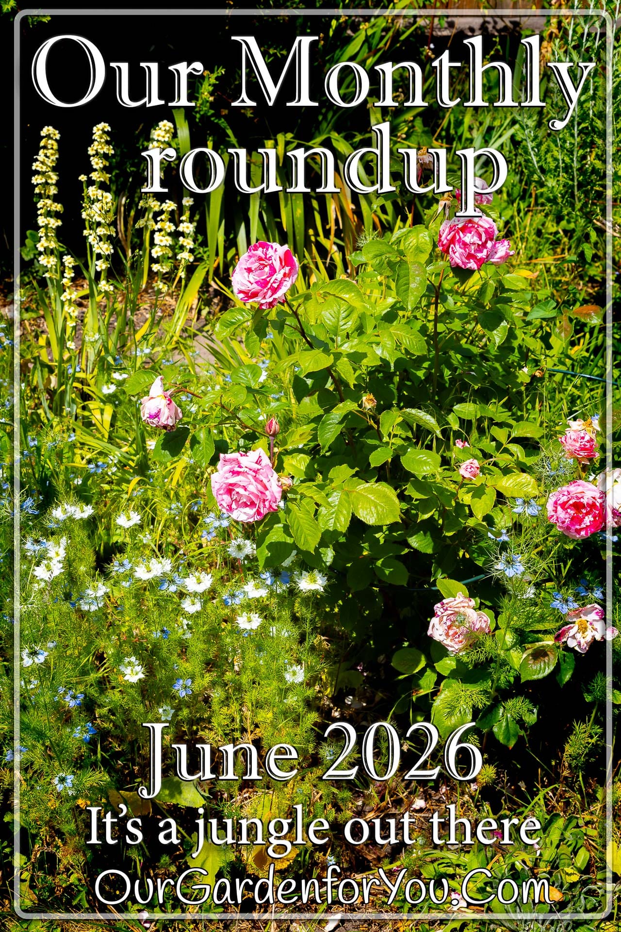 The pin image of our post - 'June 2026, Our Garden for You monthly roundup'