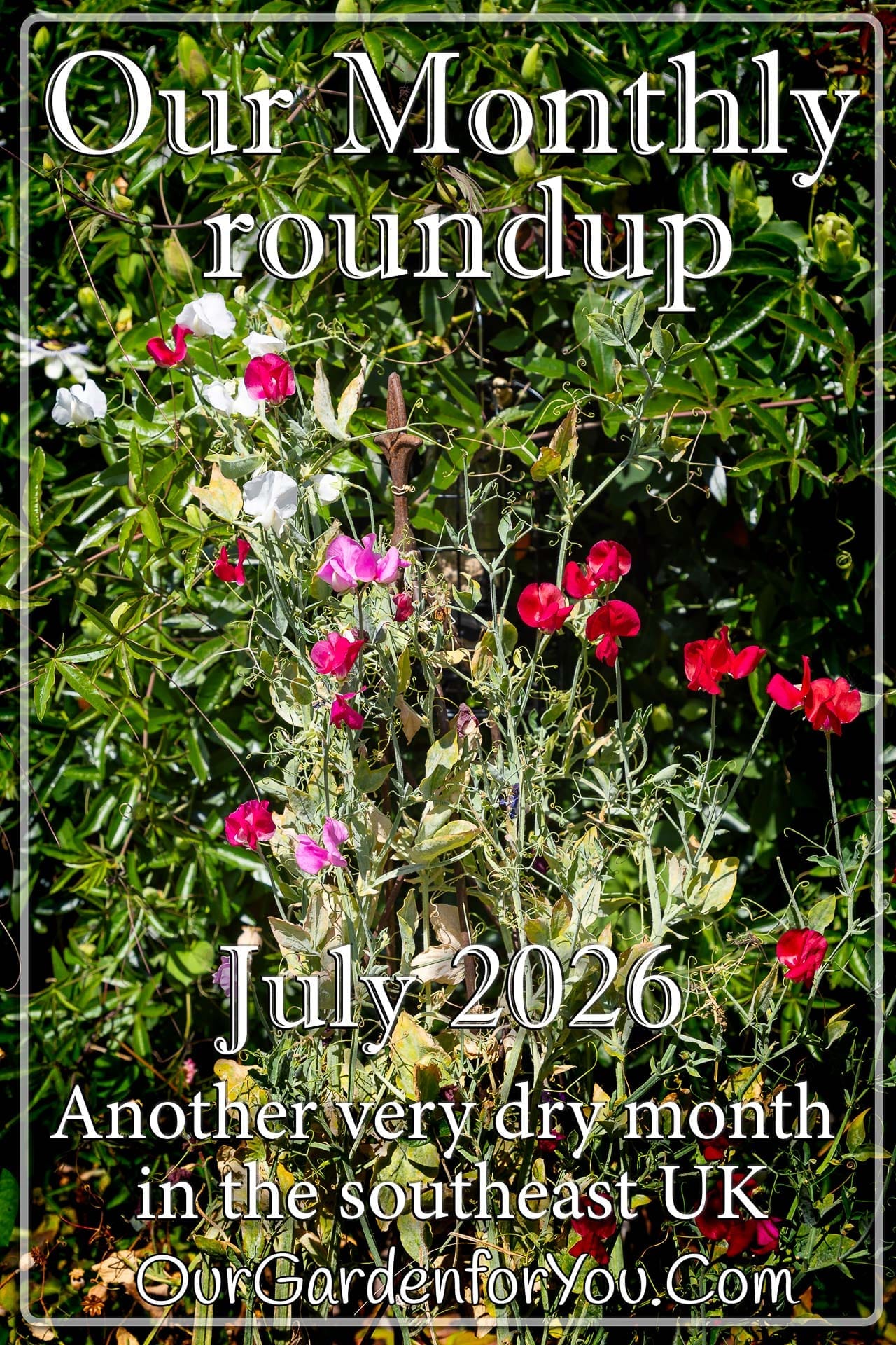 The pin image for our post - 'July 2026, Our Garden for You monthly roundup'