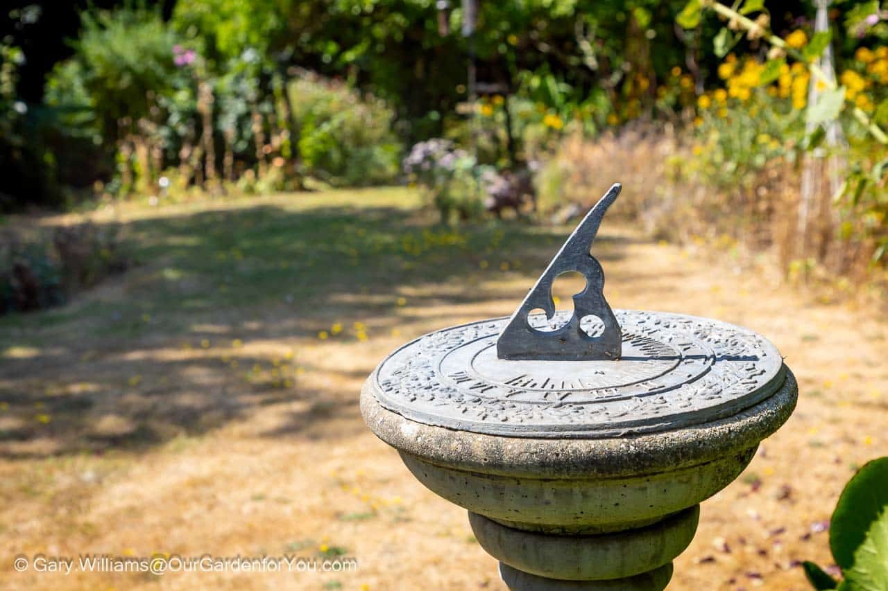 Featured image for “July 2026, Our Garden for You monthly roundup”